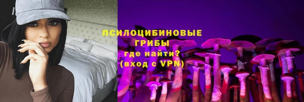 эйфоретик Алексин