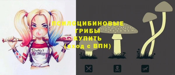 эйфоретик Алексин